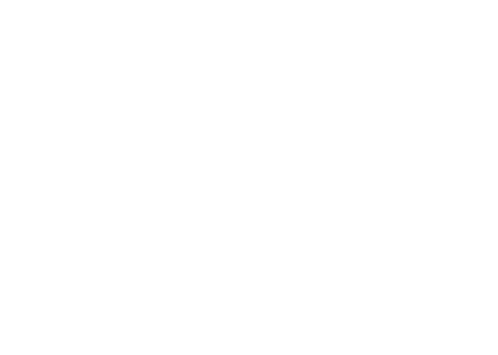 Bimotor Canarias